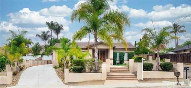 504 Grapevine Road - Photo 1