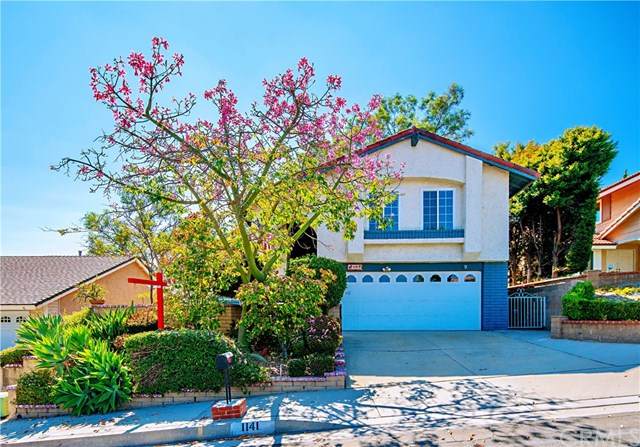 1141 Tierra Luna - Photo 1