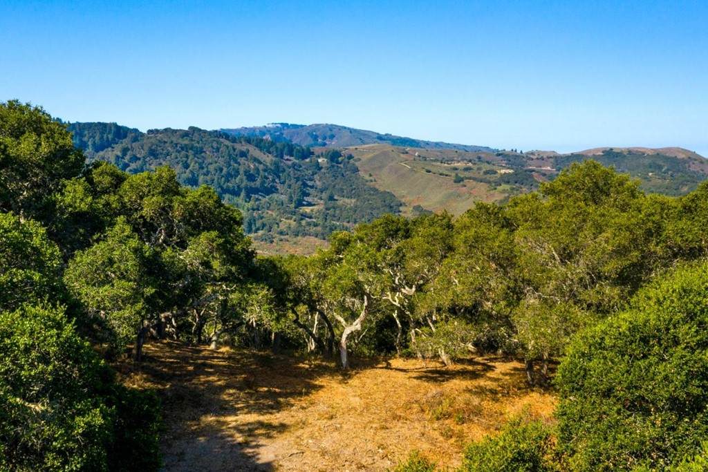 2 Corral Run - Photo 1