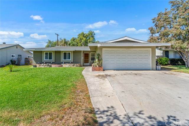 9981 Walnut Grove Avenue - Photo 1