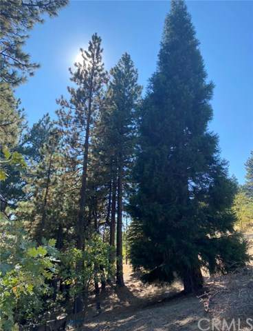 0 Wilderness Road - Photo 1