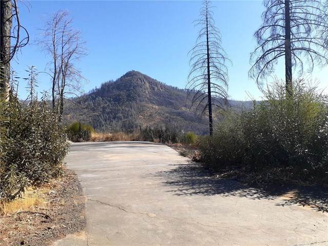 13920 Coutolenc Road - Photo 1