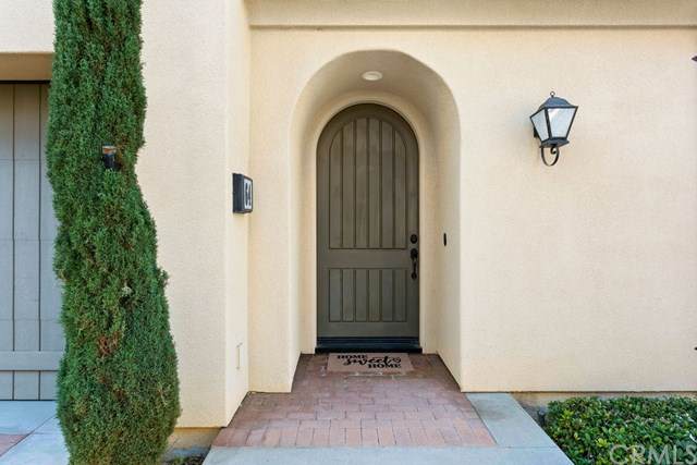 64 Cactus Flower - Photo 1