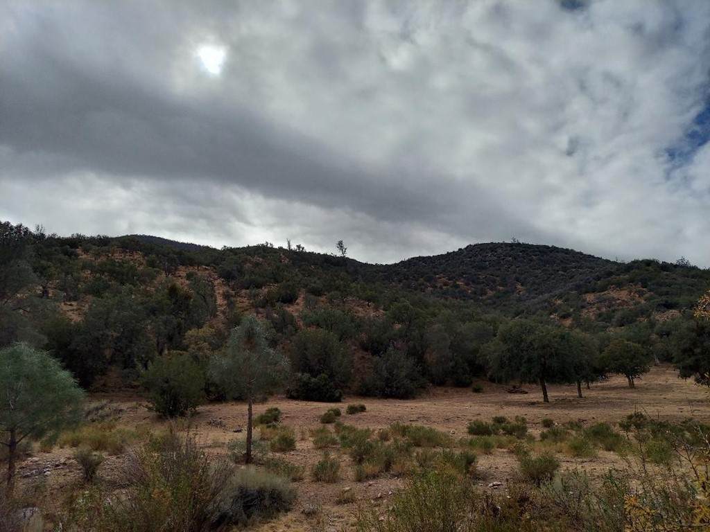 0 Calient Creek Road - Photo 1