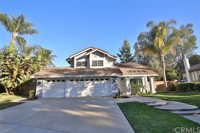 1184 Paseo Regina - Photo 1