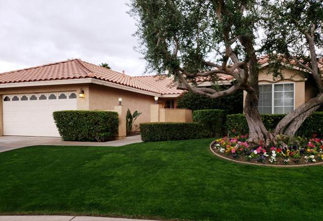38969 Palace Drive - Photo 1