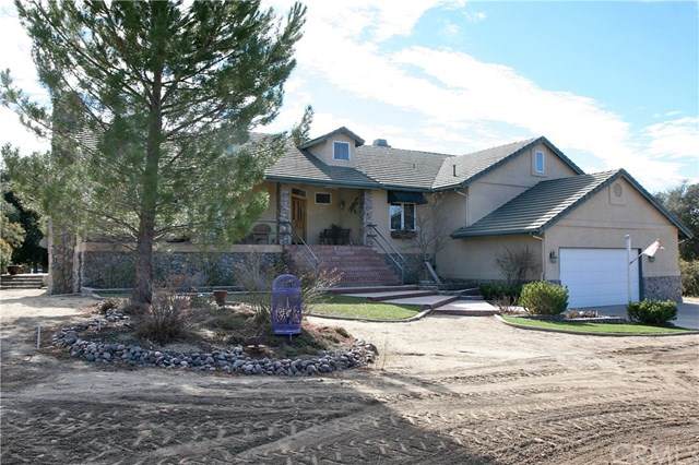 30303 Chihuahua Valley Road - Photo 1