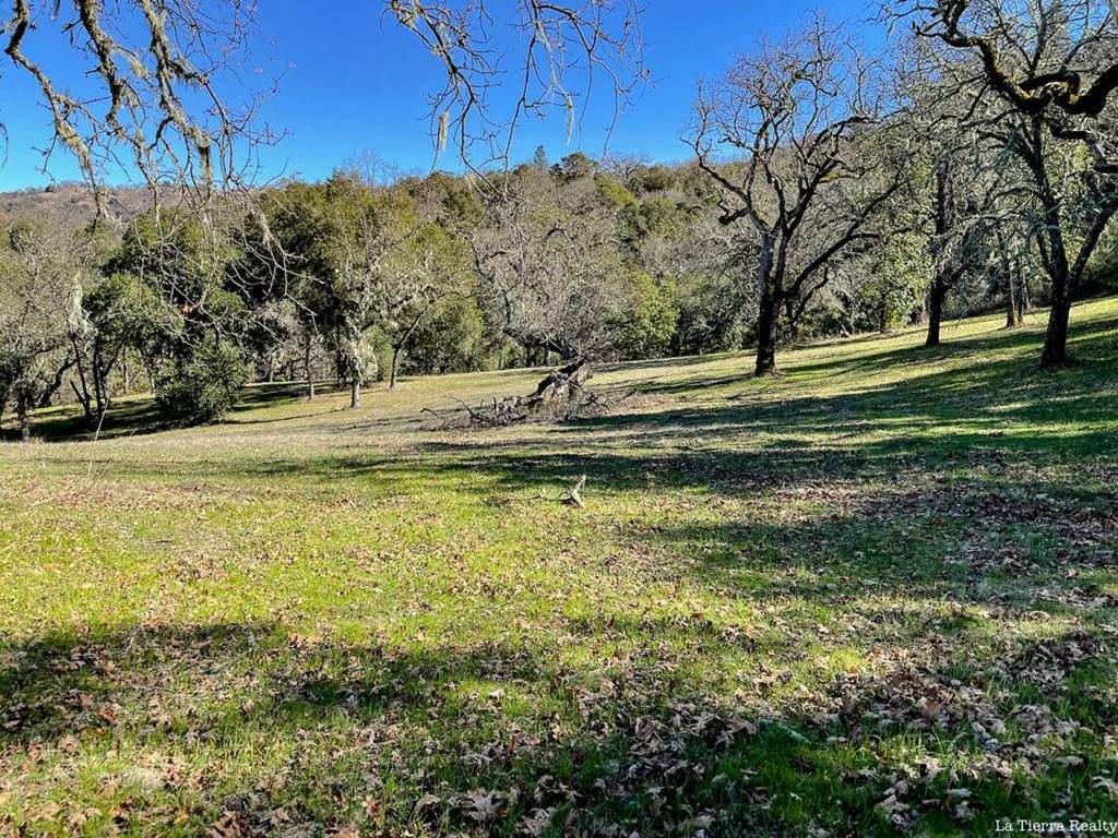 22 Arroyo Sequoia - Photo 1