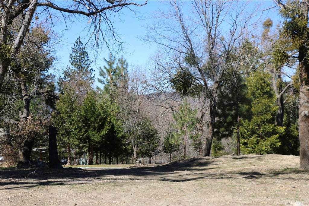30209 Elfin Court - Photo 1
