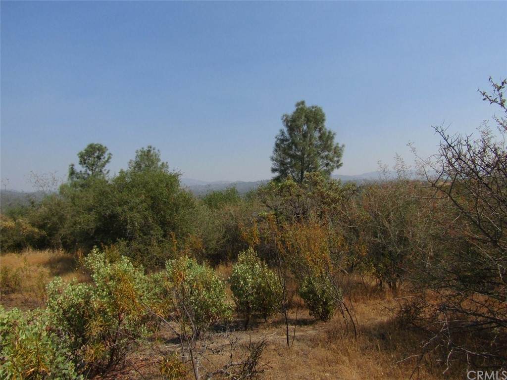 0 4.55 AC Kennedy Road - Photo 1