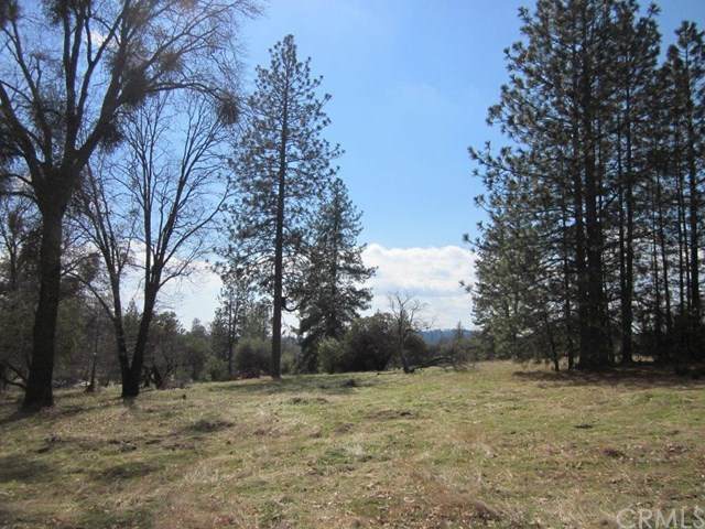 0 Lot #9 Hard Times Ranch - Photo 1