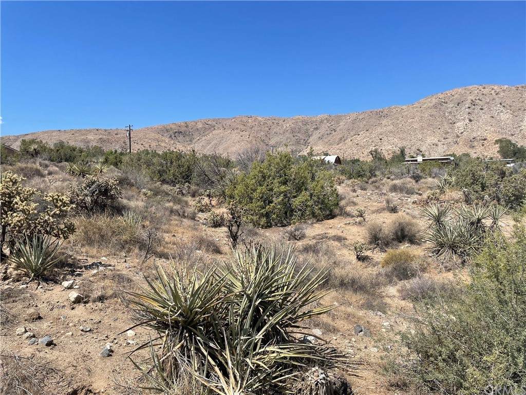 48686 Adaline Way - Photo 1
