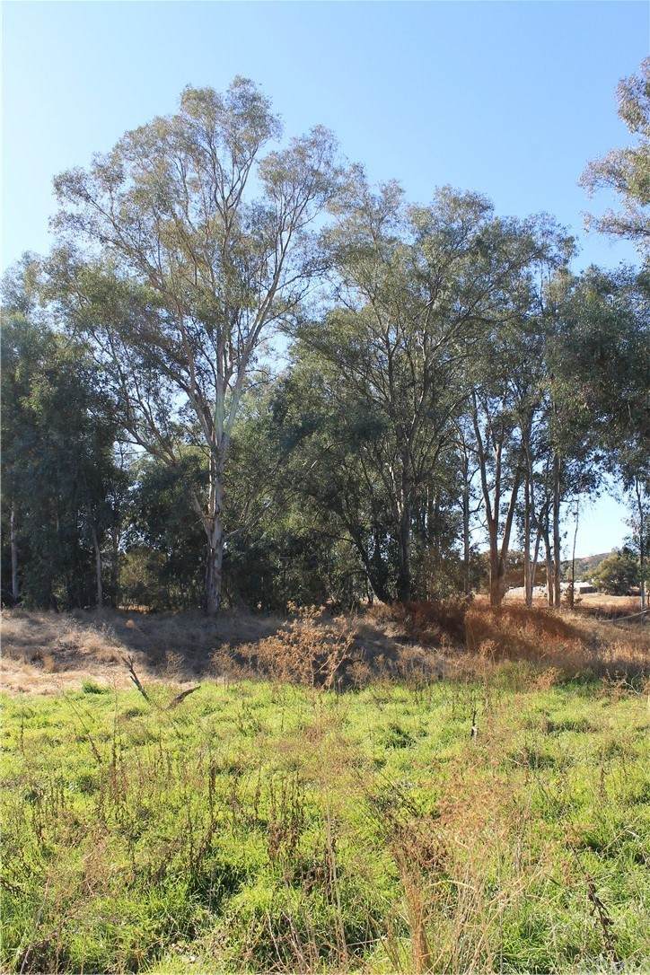 32017 Murrieta Road - Photo 1