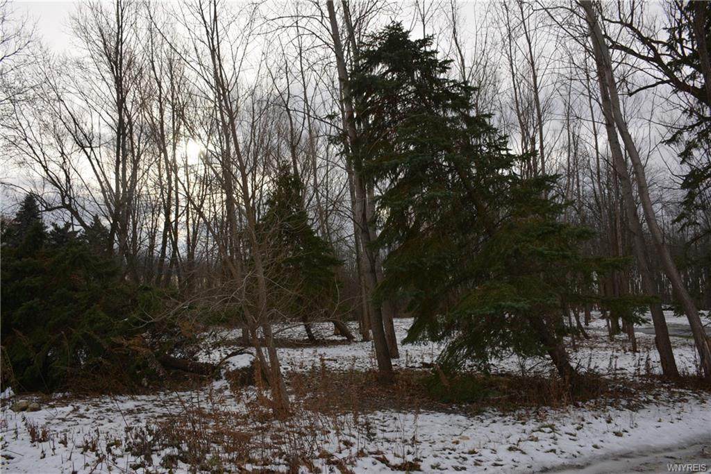 1110 Kenet Place - Photo 1