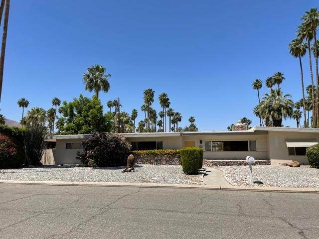 1440 Palm Tree Drive - Photo 1