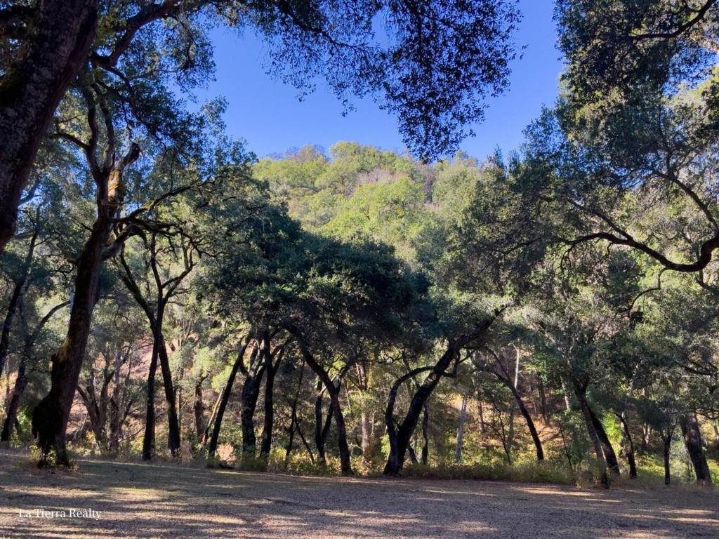 10 Garzas Trail - Photo 1