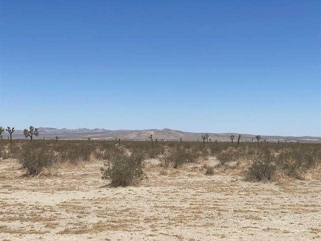 0 Near Lessing Avenue - Photo 1