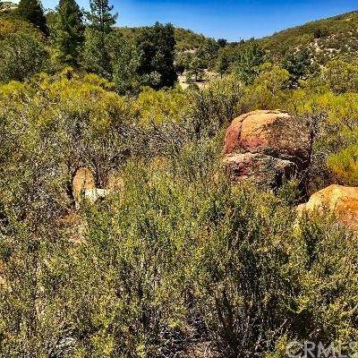 0 Indian Hill Road - Photo 1