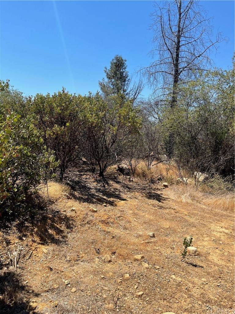0 Deer Valley - Photo 1