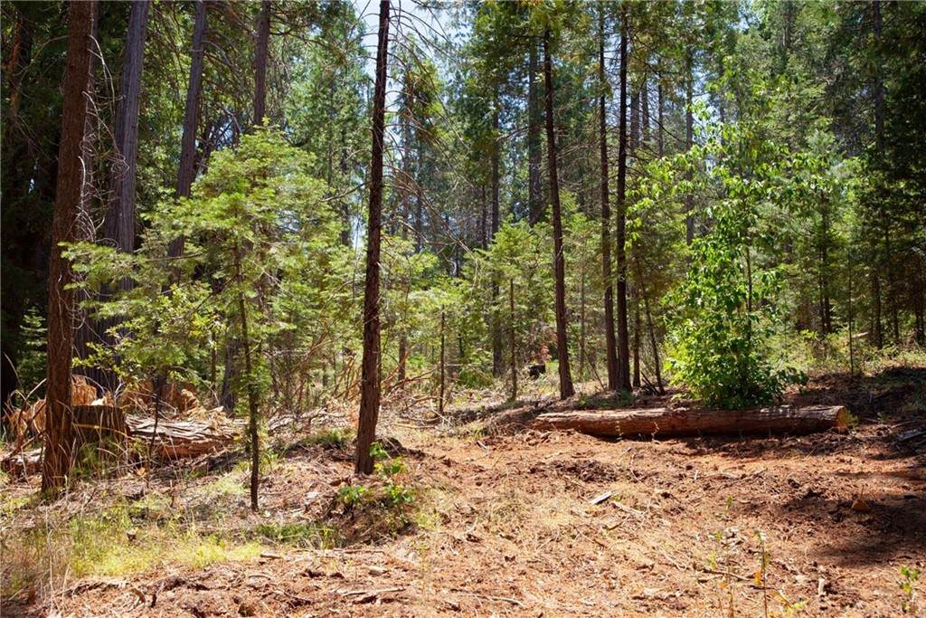 7156 Snyder Creek Drive - Photo 1
