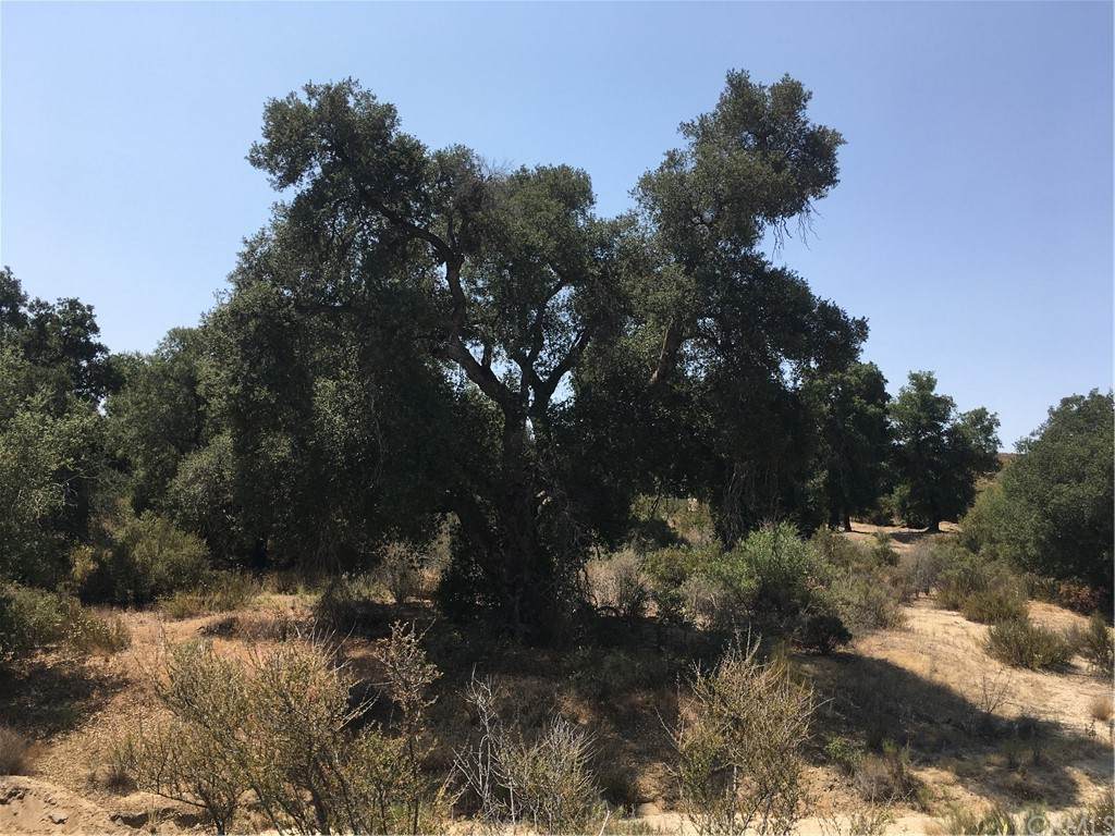 35010 Willow Creek Road - Photo 1