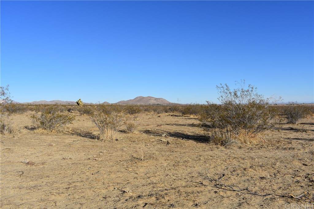 11901 Truman Rd - Photo 1