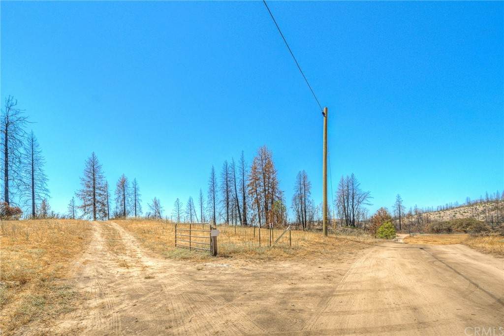 315 Harrison Springs Road - Photo 1