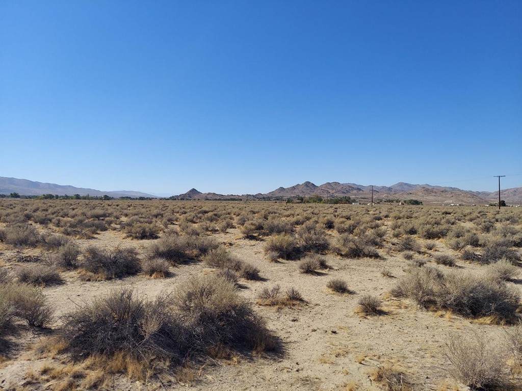 0 Barstow Rd (Hwy 247) Road - Photo 1