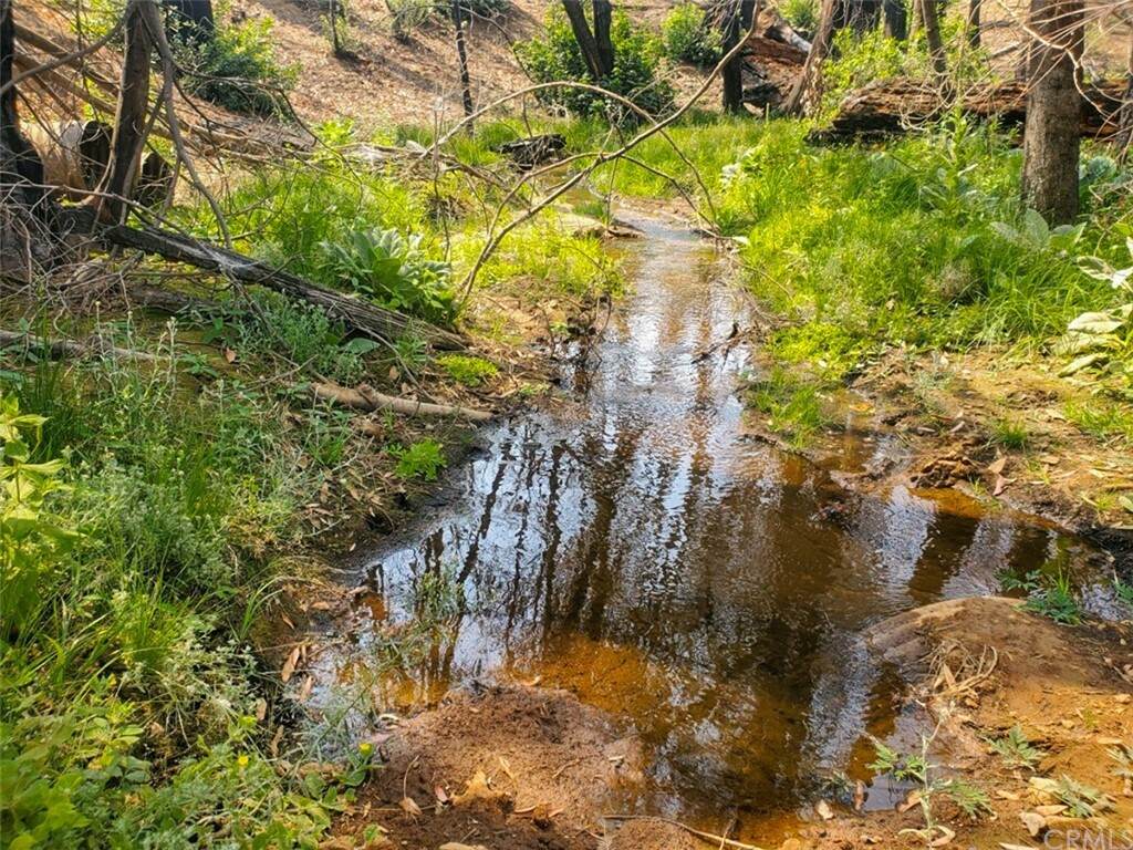 0 Milsap Bar Road - Photo 1