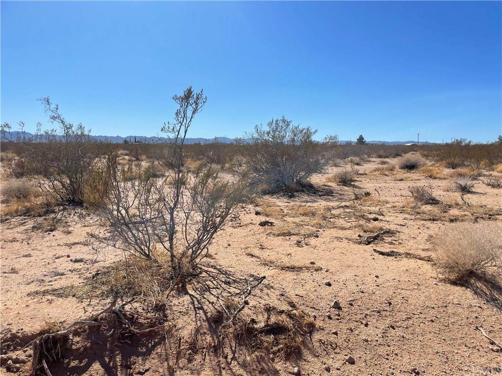 65957 Pluto Street - Photo 1