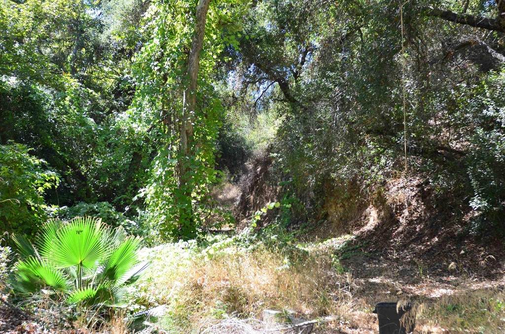 0 De Luz Rd - Photo 1