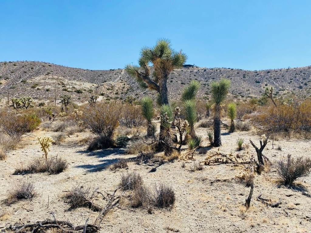 57800 Mountain View Trail - Photo 1