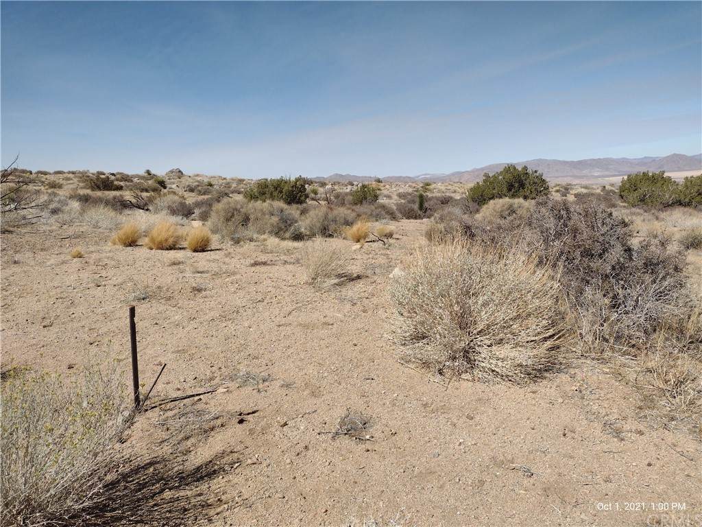 32000 Tranquility Lane - Photo 1