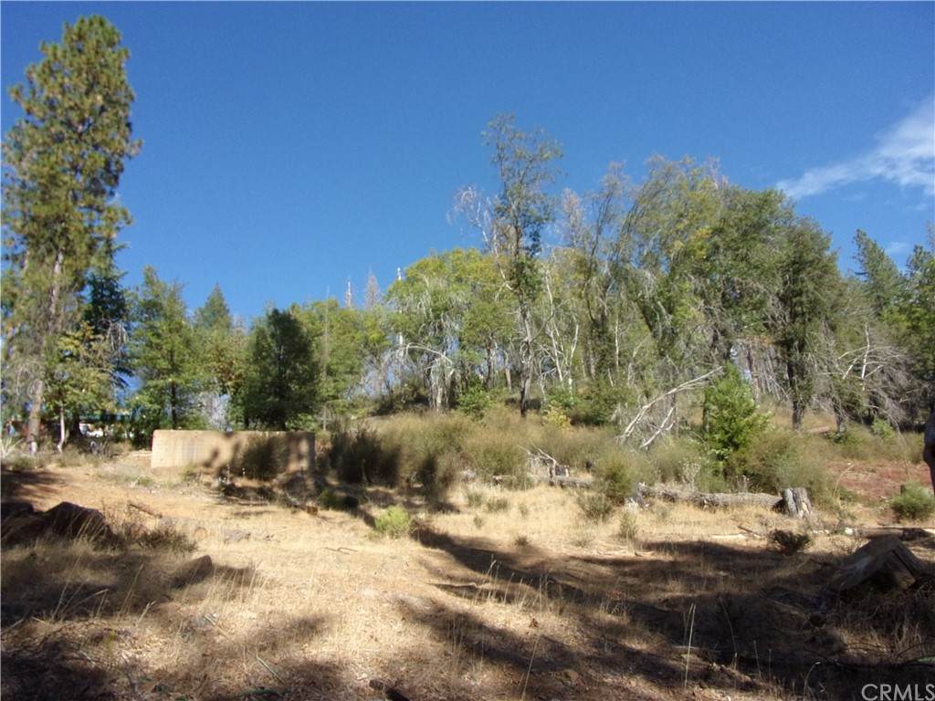 16210 Ponderosa Drive - Photo 1