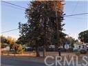 3516 Cypress Street - Photo 1