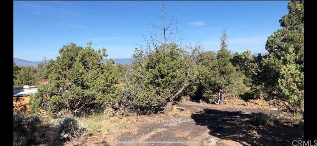 0 Block 3 Lot 17 Fawn Ln. - Photo 1