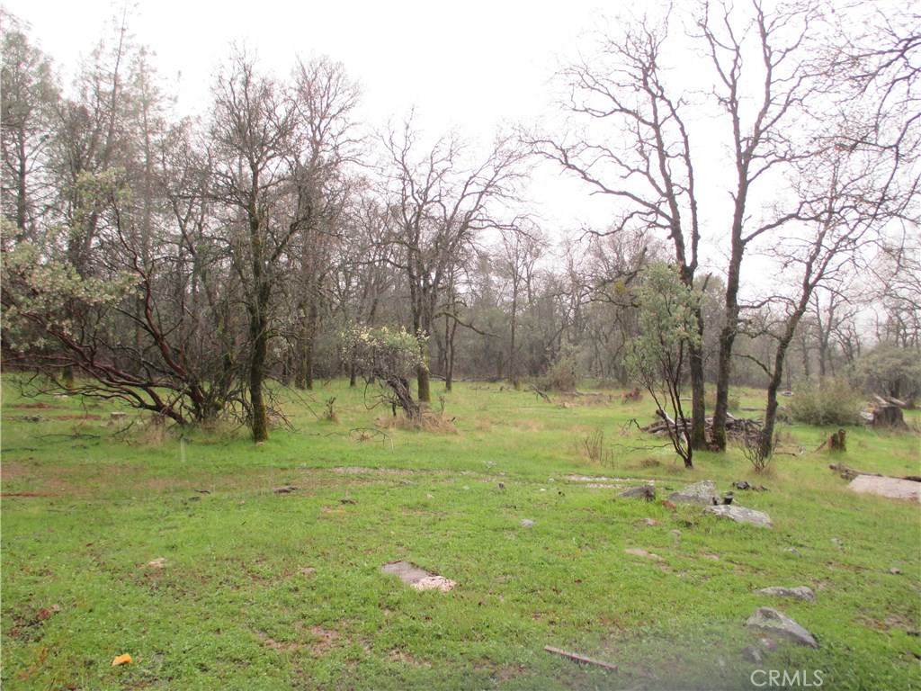 61 Purple Rock Rd - Photo 1