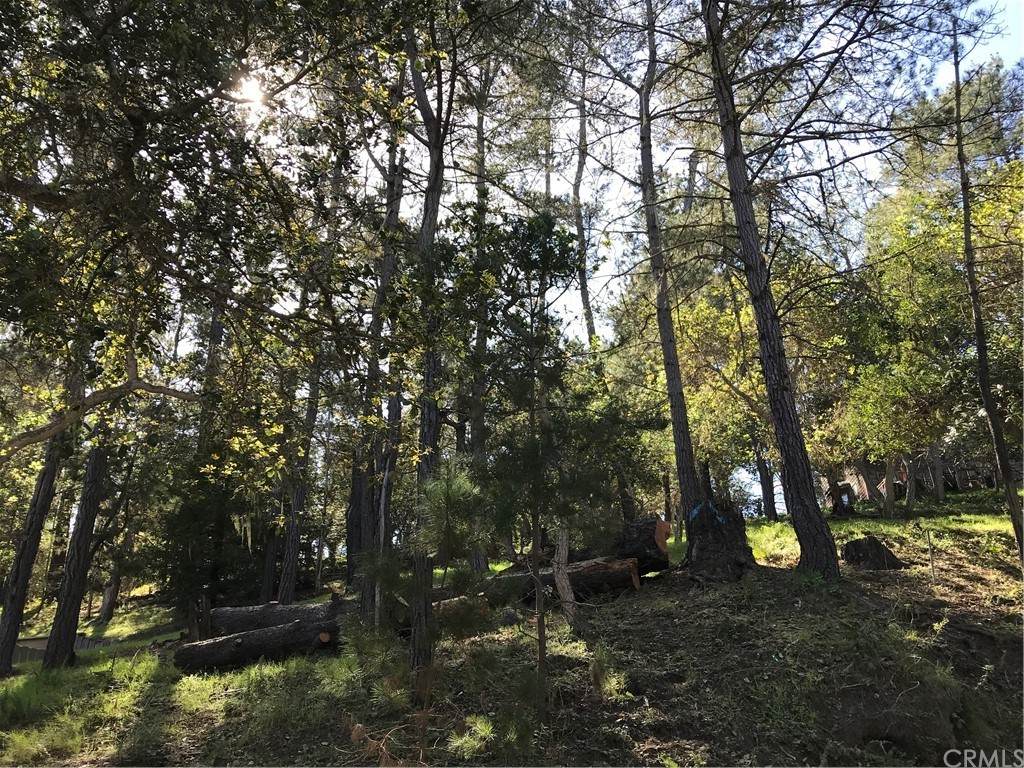 0 Radcliff Avenue - Photo 1