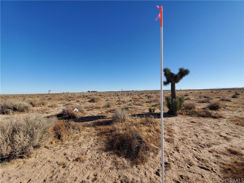 0 Near Jerome Street - Photo 1