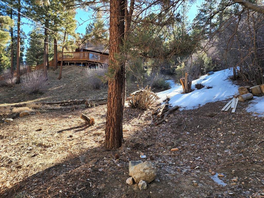 428 Gold Mountain Drive - Photo 1