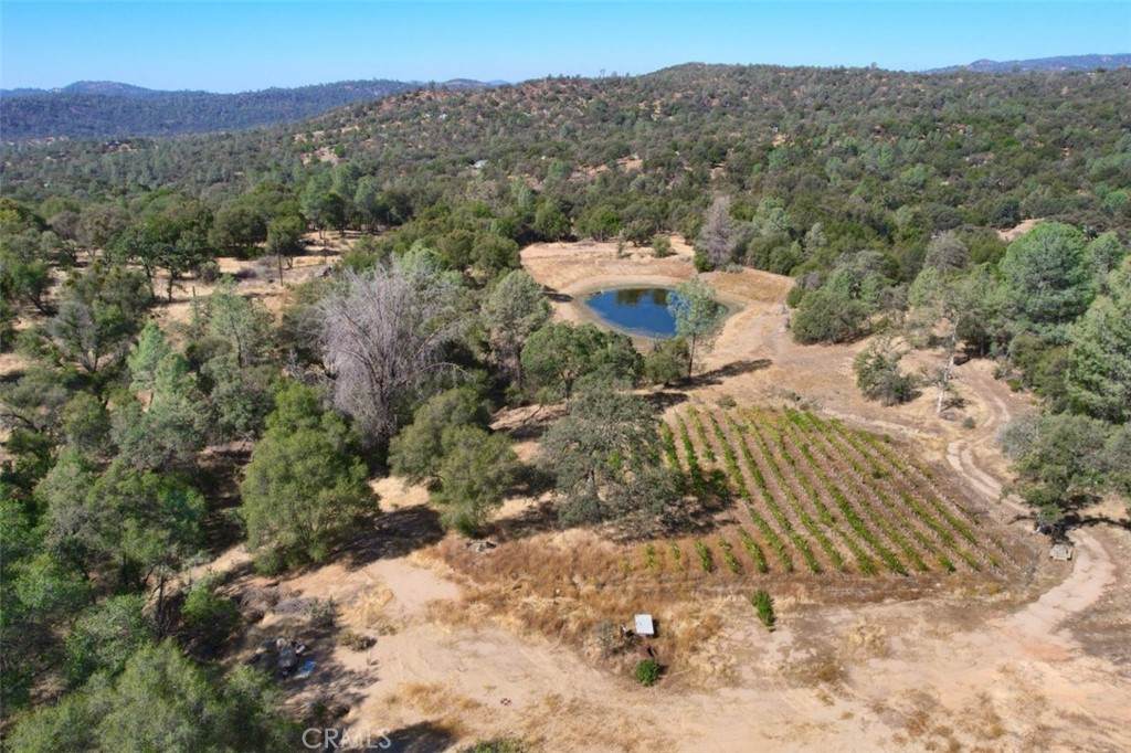 4914 Hirsch Road - Photo 1
