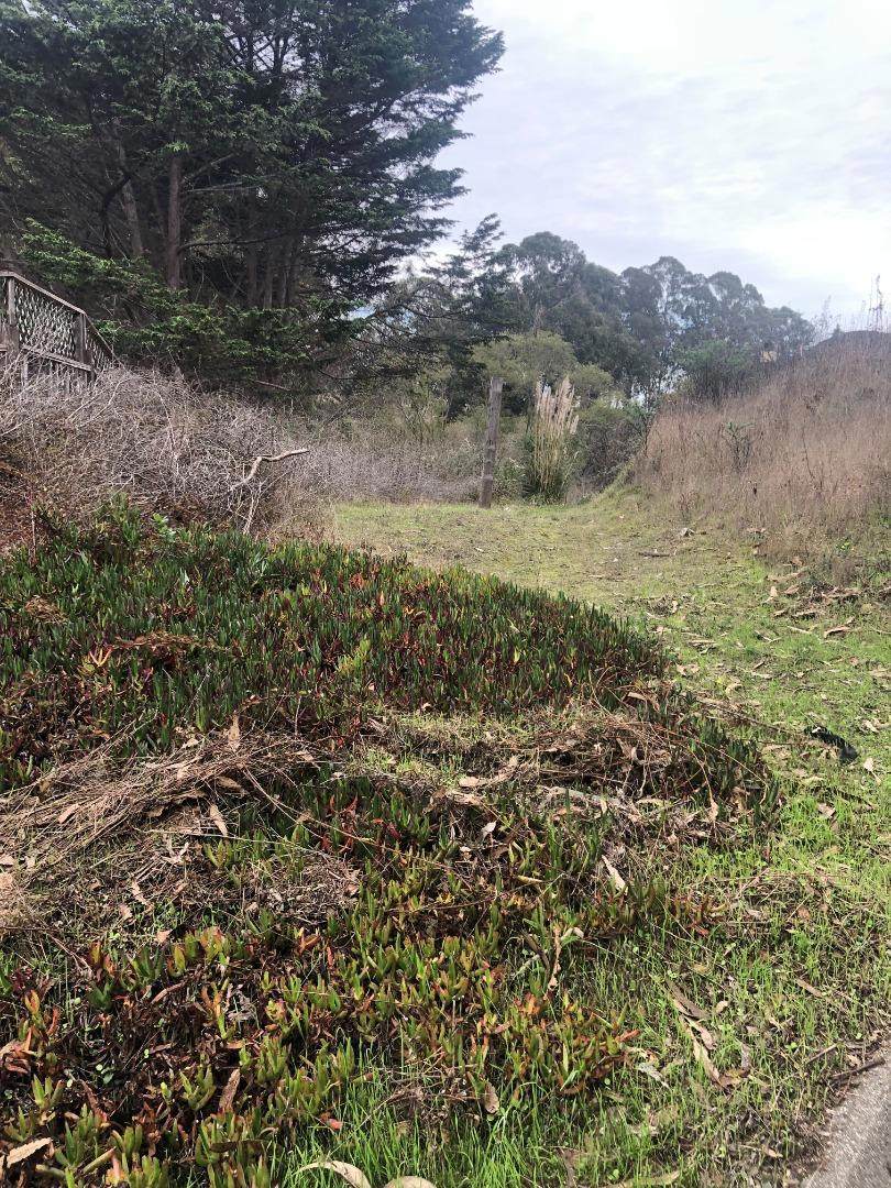 0 San Andreas Road - Photo 1