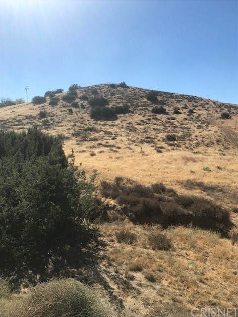 0 Sierra Hwy. Road - Photo 1