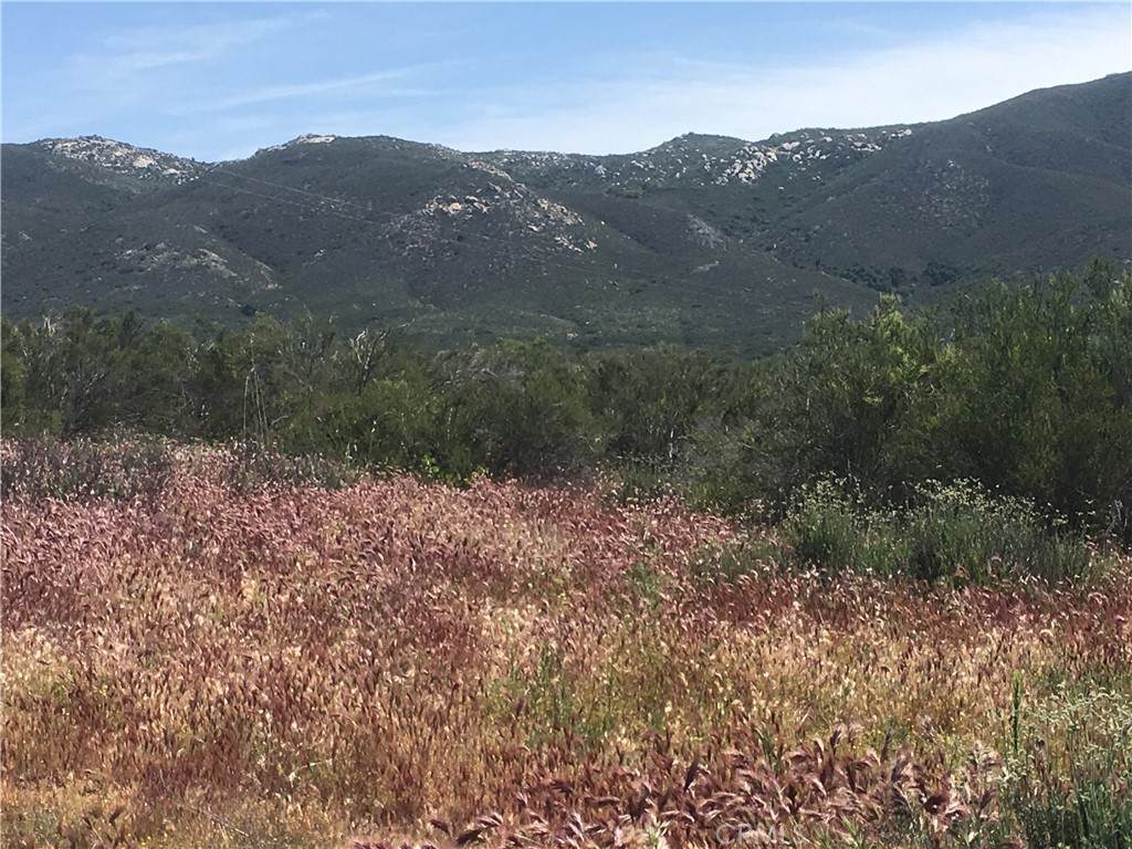0 Willow Creek Road - Photo 1