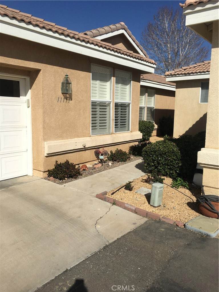 11111 Sandy Lane - Photo 1