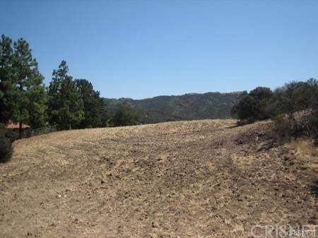 22800 Mulholland - Photo 1