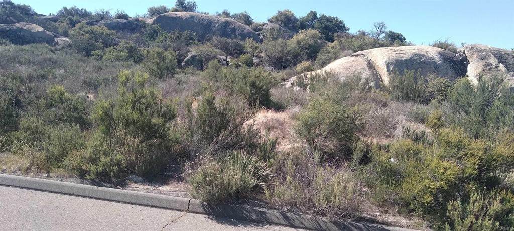 35546 Stagecoach Springs Rd. - Photo 1