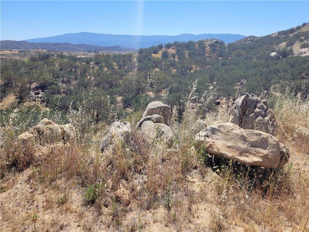 43455 Ginter Road - Photo 1