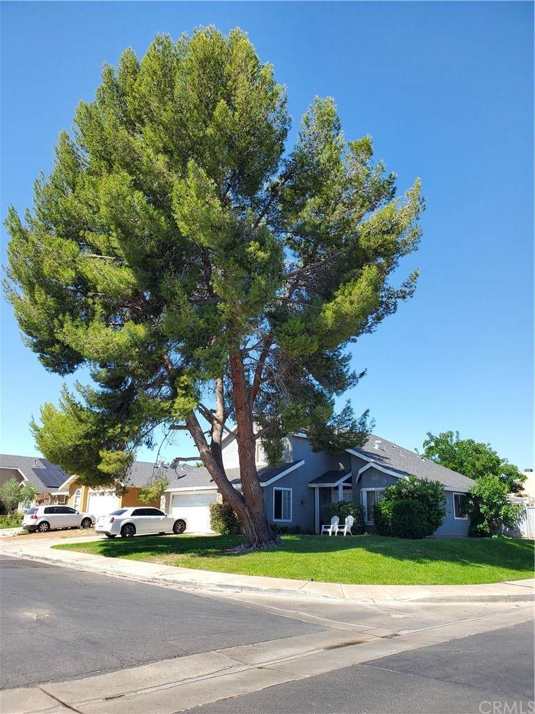 37629 36th Street - Photo 1