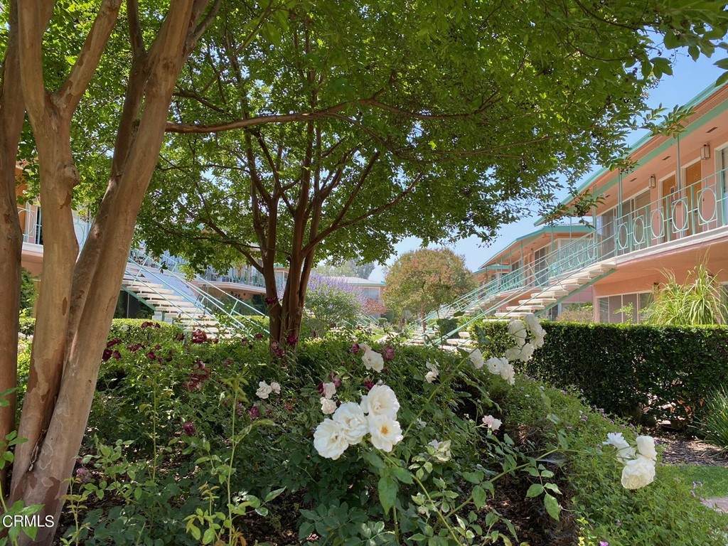 1000 San Pasqual Street - Photo 1